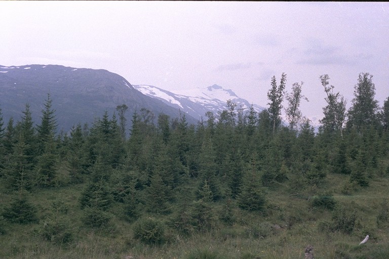 Bulgarije