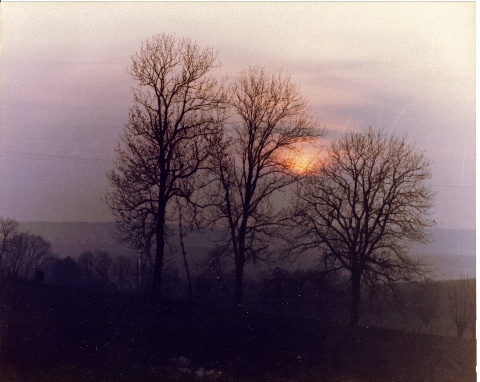 Ardenne
