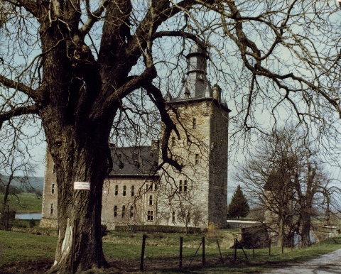 Ardenne