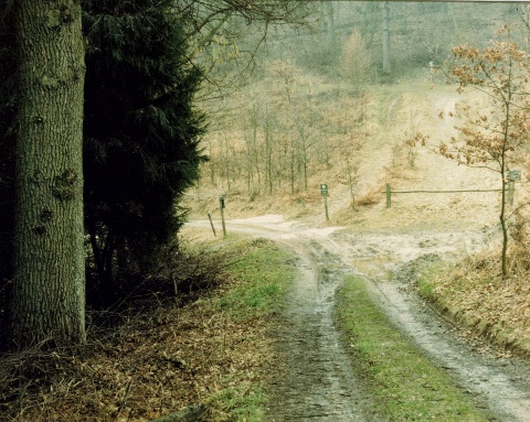 Ardenne