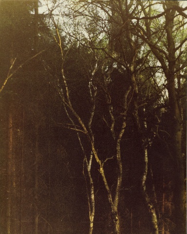 Ardenne
